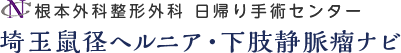 根本外科整形外科 埼玉鼠径ヘルニア・下肢静脈瘤ナビ